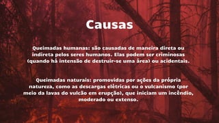 Causas
Queimadas humanas: são causadas de maneira direta ou
indireta pelos seres humanos. Elas podem ser criminosas
(quando há intensão de destruir-se uma área) ou acidentais.
Queimadas naturais: promovidas por ações da própria
natureza, como as descargas elétricas ou o vulcanismo (por
meio da lavas do vulcão em erupção), que iniciam um incêndio,
moderado ou extenso.
 