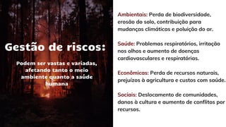 Gestão de riscos:
Podem ser vastas e variadas,
afetando tanto o meio
ambiente quanto a saúde
humana
Ambientais: Perda de biodiversidade,
erosão do solo, contribuição para
mudanças climáticas e poluição do ar.
Saúde: Problemas respiratórios, irritação
nos olhos e aumento de doenças
cardiovasculares e respiratórias.
Econômicas: Perda de recursos naturais,
prejuízos à agricultura e custos com saúde.
Sociais: Deslocamento de comunidades,
danos à cultura e aumento de conflitos por
recursos.
 
