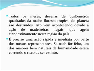  Todos    os meses, dezenas de quilômetros
  quadrados da maior floresta tropical do planeta
  são destruídos. Isto vem acontecendo devido a
  ação de madeireiras ilegais, que agem
  clandestinamente nesta região do país.
 É preciso uma ação rápida e imediata por parte
  dos nossos representantes. Se nada for feito, um
  dos maiores bem naturais da humanidade estará
  correndo o risco de ser extinto.
 