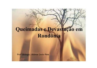 Queimadas e Devastação em
       Rondônia


Prof° (Biólogo) Aldimar Dinho Reis
 