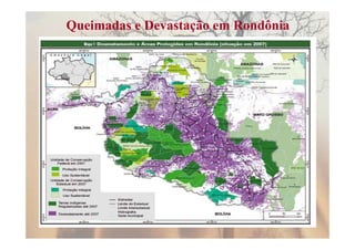 Queimadas e Devastação em Rondônia
 
