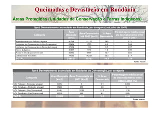 Queimadas e Devastação em Rondônia
Áreas Protegidas (Unidades de Conservação e Terras Indígenas)
 