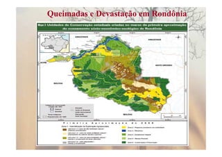 Queimadas e Devastação em Rondônia
 