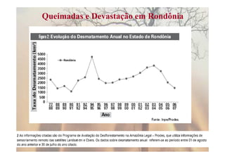 Queimadas e Devastação em Rondônia
 