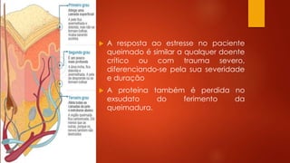  A resposta ao estresse no paciente 
queimado é similar a qualquer doente 
crítico ou com trauma severo, 
diferenciando-se pela sua severidade 
e duração 
 A proteína também é perdida no 
exsudato do ferimento da 
queimadura. 
 