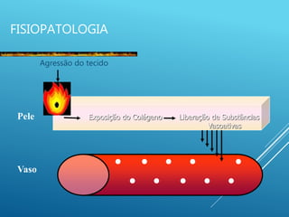 FISIOPATOLOGIA
Agressão do tecido
Vaso
Pele Exposição do Colágeno Liberação de Substâncias
Vasoativas
 