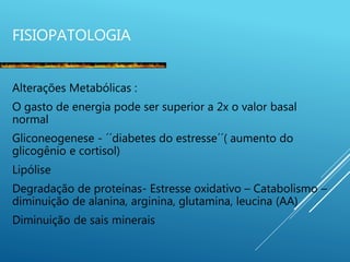 FISIOPATOLOGIA
Alterações Metabólicas :
O gasto de energia pode ser superior a 2x o valor basal
normal
Gliconeogenese - ´´diabetes do estresse´´( aumento do
glicogênio e cortisol)
Lipólise
Degradação de proteínas- Estresse oxidativo – Catabolismo –
diminuição de alanina, arginina, glutamina, leucina (AA)
Diminuição de sais minerais
 