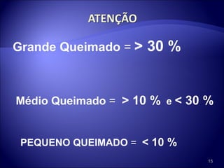 Grande Queimado  =   > 30 %   Médio Queimado  =  > 10 %   e  < 30 % PEQUENO QUEIMADO  =  < 10 %   