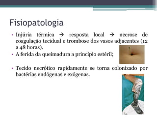 Fisiopatologia
• Injúria térmica  resposta local  necrose de
coagulação tecidual e trombose dos vasos adjacentes (12
a 48 horas).
• A ferida da queimadura a princípio estéril;
• Tecido necrótico rapidamente se torna colonizado por
bactérias endógenas e exógenas.
 