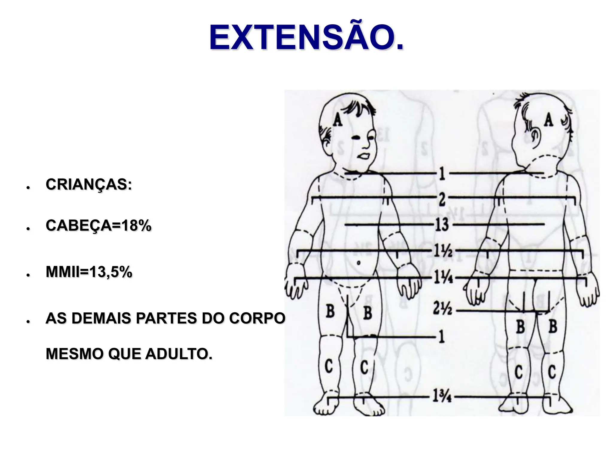 EXTENSÃO.
● CRIANÇAS:
● CABEÇA=18%
● MMII=13,5%
● AS DEMAIS PARTES DO CORPO
MESMO QUE ADULTO.
 