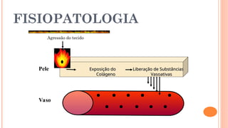 FISIOPATOLOGIA
Agressão do tecido
Vaso
Pele Exposição do
Exposição do
Colágeno
Colágeno
Liberação de Substâncias
Liberação de Substâncias
Vasoativas
Vasoativas
 