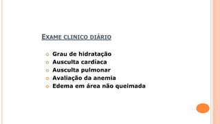 EXAME CLINICO DIÁRIO
 Grau de hidratação
 Ausculta cardíaca
 Ausculta pulmonar
 Avaliação da anemia
 Edema em área não queimada
 