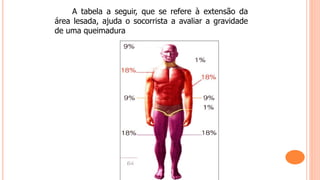 A tabela a seguir, que se refere à extensão da
área lesada, ajuda o socorrista a avaliar a gravidade
de uma queimadura
 