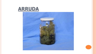 ARRUDA
 