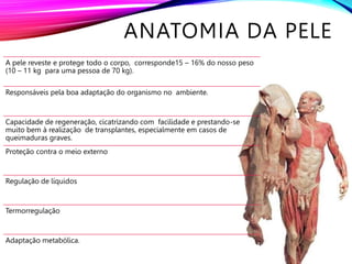 ANATOMIA DA PELE
A pele reveste e protege todo o corpo, corresponde15 – 16% do nosso peso
(10 – 11 kg para uma pessoa de 70 kg).
Responsáveis pela boa adaptação do organismo no ambiente.
Capacidade de regeneração, cicatrizando com facilidade e prestando-se
muito bem à realização de transplantes, especialmente em casos de
queimaduras graves.
Proteção contra o meio externo
Regulação de líquidos
Termorregulação
Adaptação metabólica.
 