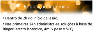 Reposição Volêmica 
• Dentro de 2h do início da lesão; 
• Nas primeiras 24h administra-se soluções à base de 
Ringer lactato isotônico, 4ml x peso x SCQ. 
 