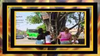 Queixas artur soares