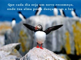 Que cada dia seja um novo recomeço,
onde tua alma possa dançar com a luz.
 
