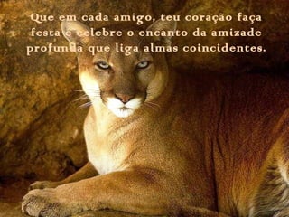 Que em cada amigo, teu coração faça
festa e celebre o encanto da amizade
profunda que liga almas coincidentes.
 