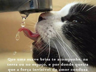 Que uma suave brisa te acompanhe, na
terra ou no espaço, e por donde queira
que a força invisivel do amor conduza
 