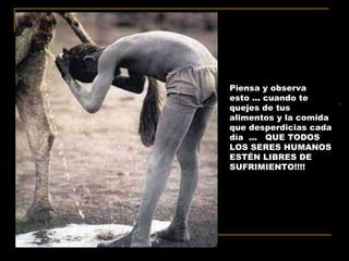Piensa y observa esto ... cuando te quejes de tus alimentos y la comida que desperdicias cada día  ...  QUE TODOS LOS SERES HUMANOS ESTÉN LIBRES DE SUFRIMIENTO!!!!  , 