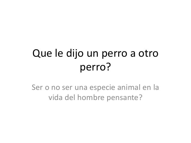 Que le dijo un perro a otro perro (chiste idiota)
