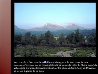 Au cœur de la Provence, les Alpilles se distinguent de loin. Leurs formes
dentelées s'étendent sur environ 25 kilomètres, depuis la vallée du Rhône jusqu'à la
vallée de la Durance, dominant ainsi au Nord la plaine de Saint-Rémy de Provence
et au Sud la plaine de La Crau.
 