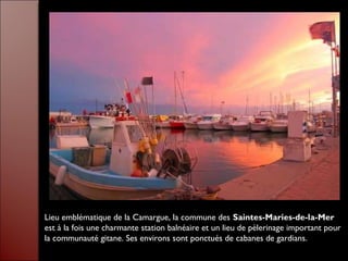 Lieu emblématique de la Camargue, la commune des Saintes-Maries-de-la-Mer
est à la fois une charmante station balnéaire et un lieu de pèlerinage important pour
la communauté gitane. Ses environs sont ponctués de cabanes de gardians.
 
