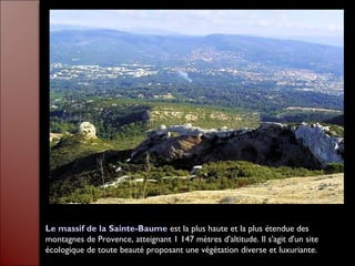 Le massif de la Sainte-Baume est la plus haute et la plus étendue des
montagnes de Provence, atteignant 1 147 mètres d'altitude. Il s'agit d'un site
écologique de toute beauté proposant une végétation diverse et luxuriante.
 