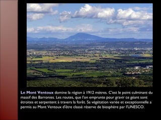 Le Mont Ventoux domine la région à 1912 mètres. C'est le point culminant du
massif des Barronies. Les routes, que l'on emprunte pour gravir ce géant sont
étroites et serpentent à travers la forêt. Sa végétation variée et exceptionnelle a
permis au Mont Ventoux d'être classé réserve de biosphère par l'UNESCO.
 