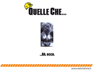 … Ah, ecco. http://photo.net/ 