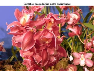 La Bible nous donne cette assurance:
 