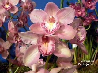 Et l’apôtre
Paul ajoute:…
 