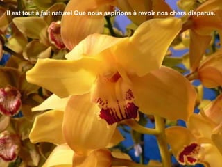 Il est tout à fait naturel Que nous aspirions à revoir nos chers disparus.
 