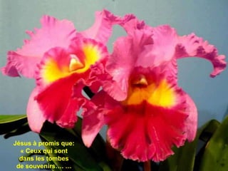 Jésus à promis que:
« Ceux qui sont
dans les tombes
de souvenirs…. …
 