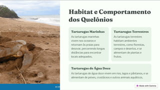 Habitat e Co porta e to
do Quelô io
Tartaruga Mari a
As tartarugas marinhas
vivem nos oceanos e
retornam às praias para
desovar, percorrendo longas
distâncias para encontrar
locais adequados.
Tartaruga Terre tre
As tartarugas terrestres
habitam ambientes
terrestres, como florestas,
campos e desertos, e se
alimentam de plantas e
frutos.
Tartaruga de Água Doce
As tartarugas de água doce vivem em rios, lagos e pântanos, e se
alimentam de peixes, crustáceos e outros animais aquáticos.
 