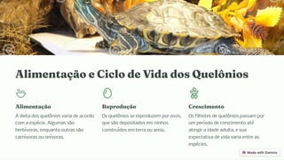 Ali e tação e Ciclo de Vida do Quelô io
Ali e tação
A dieta dos quelônios varia de acordo
com a espécie. Algumas são
herbívoras, enquanto outras são
carnívoras ou onívoras.
Reprodução
Os quelônios se reproduzem por ovos,
que são depositados em ninhos
construídos em terra ou areia.
Cre ci e to
Os filhotes de quelônios passam por
um período de crescimento até
atingir a idade adulta, e sua
expectativa de vida varia entre as
espécies.
 