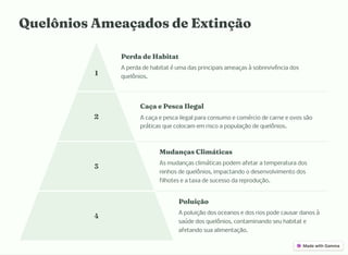 Quelô io A eaçado de Exti ção
1
Perda de Habitat
A perda de habitat é uma das principais ameaças à sobrevivência dos
quelônios.
2
Caça e Pe ca Ilegal
A caça e pesca ilegal para consumo e comércio de carne e ovos são
práticas que colocam em risco a população de quelônios.
3
Muda ça Cli ática
As mudanças climáticas podem afetar a temperatura dos
ninhos de quelônios, impactando o desenvolvimento dos
filhotes e a taxa de sucesso da reprodução.
4
Poluição
A poluição dos oceanos e dos rios pode causar danos à
saúde dos quelônios, contaminando seu habitat e
afetando sua alimentação.
 