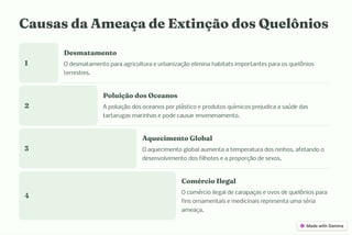 Cau a da A eaça de Exti ção do Quelô io
1
De ata e to
O desmatamento para agricultura e urbanização elimina habitats importantes para os quelônios
terrestres.
2
Poluição do Ocea o
A poluição dos oceanos por plástico e produtos químicos prejudica a saúde das
tartarugas marinhas e pode causar envenenamento.
3
Aqueci e to Global
O aquecimento global aumenta a temperatura dos ninhos, afetando o
desenvolvimento dos filhotes e a proporção de sexos.
4
Co ércio Ilegal
O comércio ilegal de carapaças e ovos de quelônios para
fins ornamentais e medicinais representa uma séria
ameaça.
 