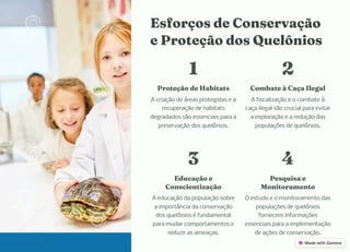 E forço de Co ervação
e Proteção do Quelô io
1
Proteção de Habitat
A criação de áreas protegidas e a
recuperação de habitats
degradados são essenciais para a
preservação dos quelônios.
2
Co bate à Caça Ilegal
A fiscalização e o combate à
caça ilegal são crucial para evitar
a exploração e a redução das
populações de quelônios.
3
Educação e
Co cie tização
A educação da população sobre
a importância da conservação
dos quelônios é fundamental
para mudar comportamentos e
reduzir as ameaças.
4
Pe qui a e
Mo itora e to
O estudo e o monitoramento das
populações de quelônios
fornecem informações
essenciais para a implementação
de ações de conservação.
 