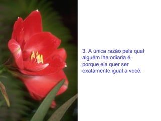 3. A única razão pela qual alguém lhe odiaria é porque ela quer ser exatamente igual a você.  