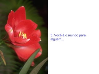 5. Você é o mundo para alguém... 