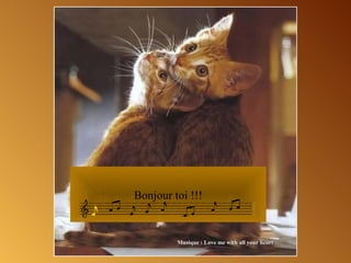 Bonjour toi !!!


         Musique : Love me with all your heart
 