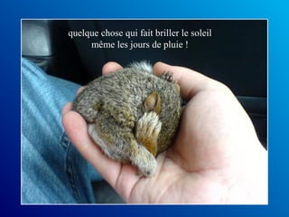 quelque chose qui fait briller le soleil
même les jours de pluie !

 