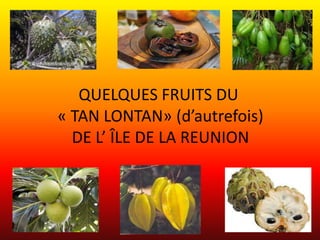 QUELQUES FRUITS DU
« TAN LONTAN» (d’autrefois)
  DE L’ ÎLE DE LA REUNION
 