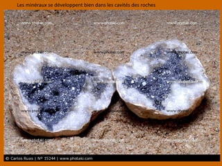 Les minéraux se développent bien dans les cavités des roches
 