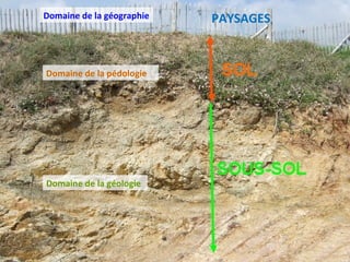 Domaine de la pédologie
Domaine de la géologie
Domaine de la géographie PAYSAGES
 