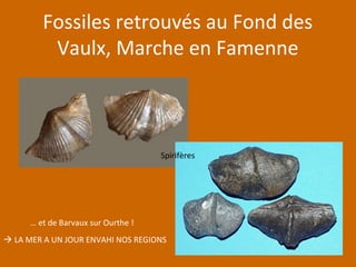 Fossiles retrouvés au Fond des
Vaulx, Marche en Famenne
… et de Barvaux sur Ourthe !
Spirifères
 LA MER A UN JOUR ENVAHI NOS REGIONS
 