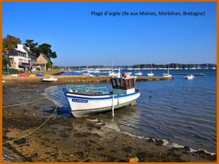 Plage d’argile (Ile aux Moines, Morbihan, Bretagne)
 