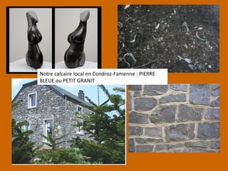 Notre calcaire local en Condroz-Famenne : PIERRE
BLEUE ou PETIT GRANIT
 